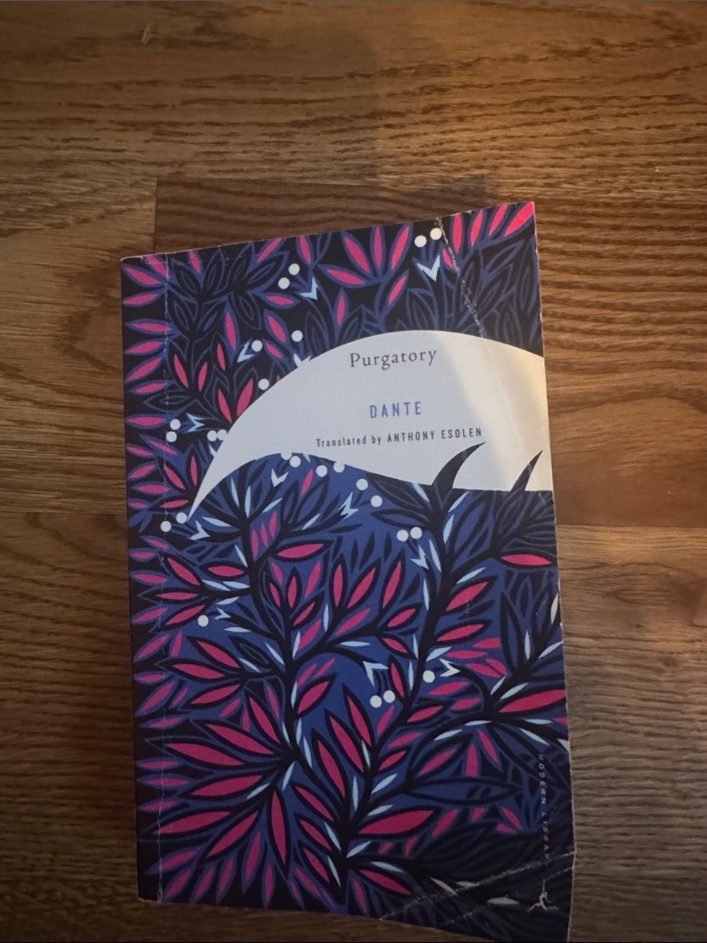 Dante - Purgatory Illustrated Paperback in Navy, Pink and White